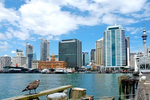 Wynajem Samochod�w Auckland