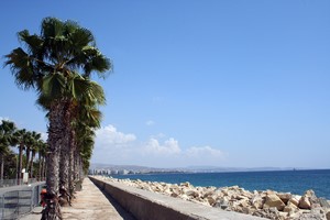 Wynajem Samochod�w Ayia Napa