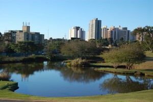 Wynajem Samochod�w Curitiba