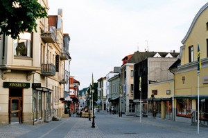 Wynajem Samochod�w Halden