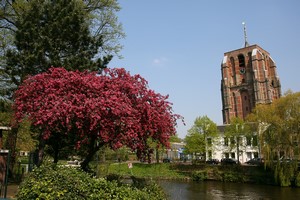 Wynajem Samochod�w Leeuwarden