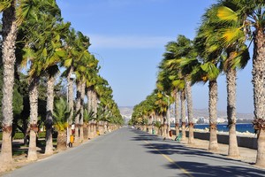 Wynajem Samochod�w Limassol