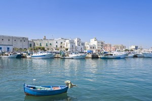 Wynajem Samochod�w Monopoli
