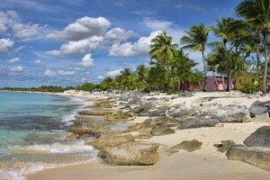 Wynajem Samochod�w Santo Domingo
