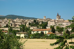 Wynajem Samochod�w Siena