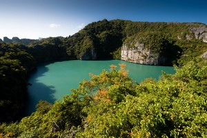 Wynajem Samochod�w Surat Thani